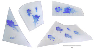 ORGANISMS,Stefan Eins