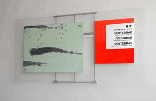 VERTEBRAE,Stefan Eins