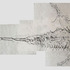 20111211110557-04eins_paint_splash_horseshoe_crab