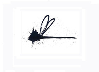 DRAGONFLY ,Stefan Eins