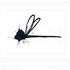 20111211111157-07eins_dragonfly