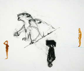Lions,Tessa Suttons