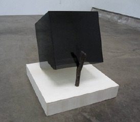 Animal Trap,Whitney Lynn