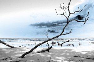 20111213122800-81