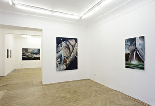 Everybody is a lake, Installation View at BISCHOFF/WEISS,Louise Thomas