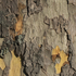 20111214085902-img_1082_2