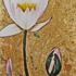 Dscn0090__2_