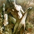 Afternoon_of_a_fawn-2003