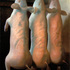 20111215053530-pigs