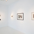 20111215103232-installationshot-03_0273