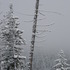20111216003545-dscn9588