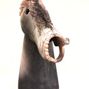 20120123191301-horse-birdimg_7299