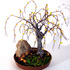 20111217065008-beaded_in_brass_base_2400_pix