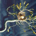 20111217071935-bird_nest_no