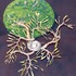 20111217073809-bird_nest_no