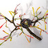 20111217080220-bird_nest_no