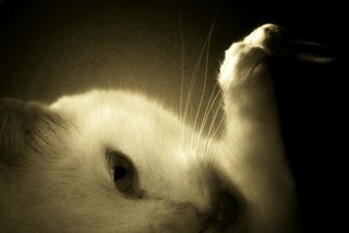 ,Jeremy Hight