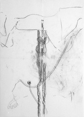 Untitled ,Trisha Brown