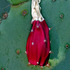 20111218193133-red_tunas_