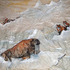 20111219210951-dscn9658_edited-1
