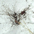 20111222224649-abstract_of_loneliness-1306250635t