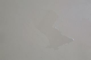 Crocodile Tears,Wilfredo Prieto