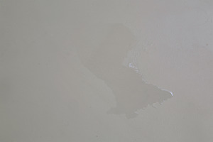 20111224062650-crocodile