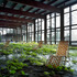 20111225172239-grossingers_pool_catskills_i_5x7