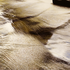 20111226000242-sand_painting