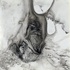 20111226180018-ecker__celestial_nest