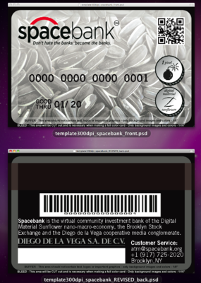 20111227132629-spacebank_card