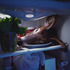 20111227162846-deer_in_fridge_send