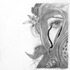 20111228074143-just_surviving_lg_file_copy
