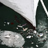 20111228200506-a_fishy_tale_days_catch_1_as_5599