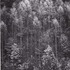 20111228203219-aa_dawn_autumn_forest_fade7