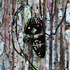 20111228203406-ethnical_graffiti_43_acrylic_on_canvas__24x_30cm