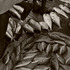 20111228205125-fishy_tales_as_mg_0490