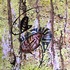 20111228220644-ethnical_graffiti_39