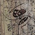 20111228221237-ethnical_graffiti_22
