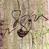 20111228221433-ethnical_graffiti_07