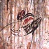 20111228221619-ethnical_graffiti_47_acrylic_on_canvas__40x_45cm