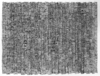 20111228222412-charles_mahaffee_untitled__2011_charcoal_on_paper_______9__x_12_