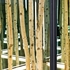 20111229011744-exh_47_cover