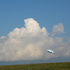 20111229061923-mollyvdierks_08b