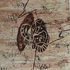 20111229174057-ethnical_graffiti_11