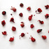 20111229202146-redcollectionwall