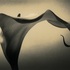 20111230025150-lily_2