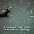 20111230171251-if_the_heart_could_think_it_would_stop_beating