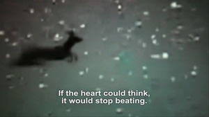 20111230171251-if_the_heart_could_think_it_would_stop_beating