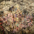 20111231041905-edwards_rodolfo_04_laps_2011_68x58_mixedmedia_1950
